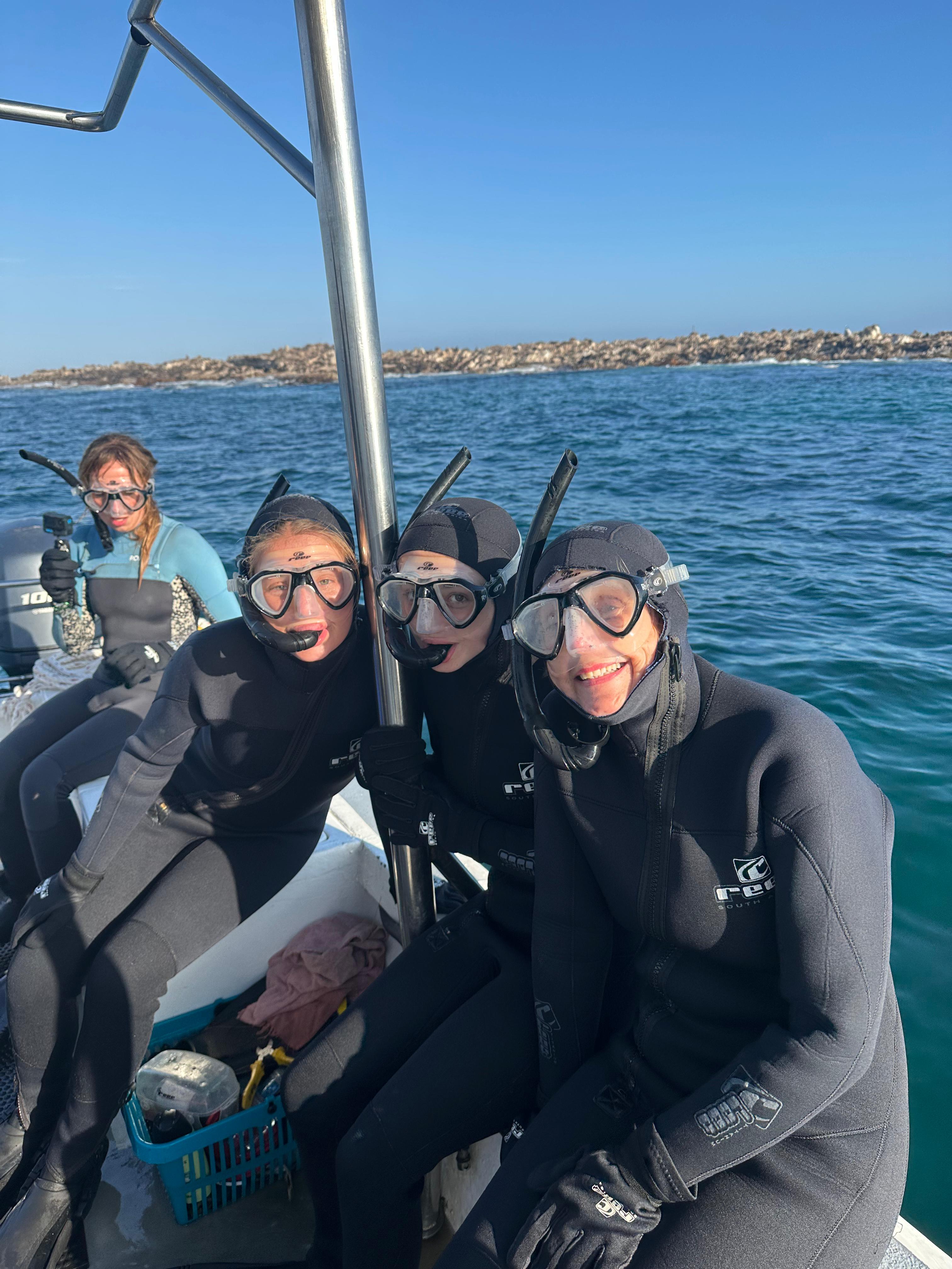 Seal Diving