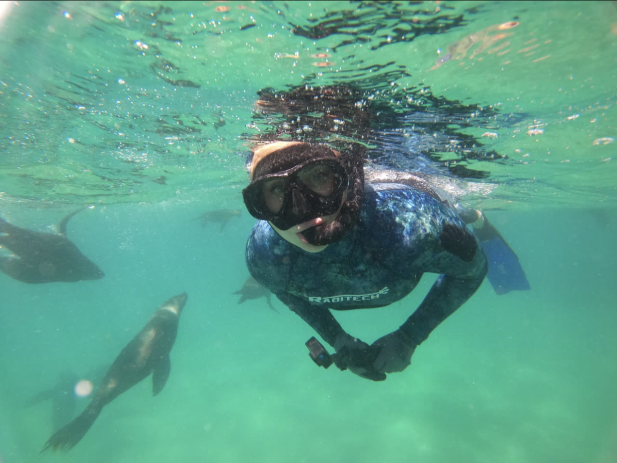 Swimming with seals