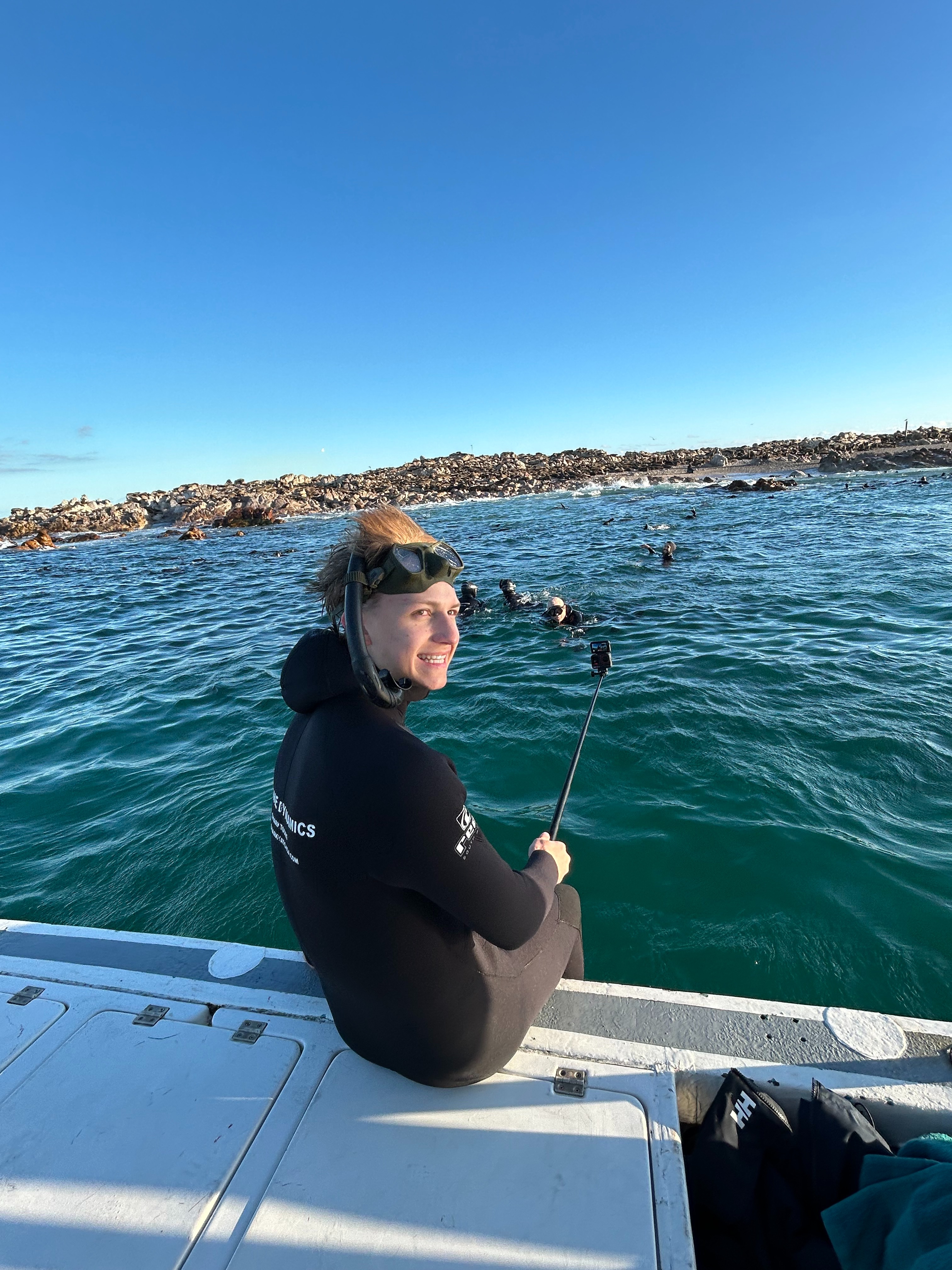 Swimming with seals