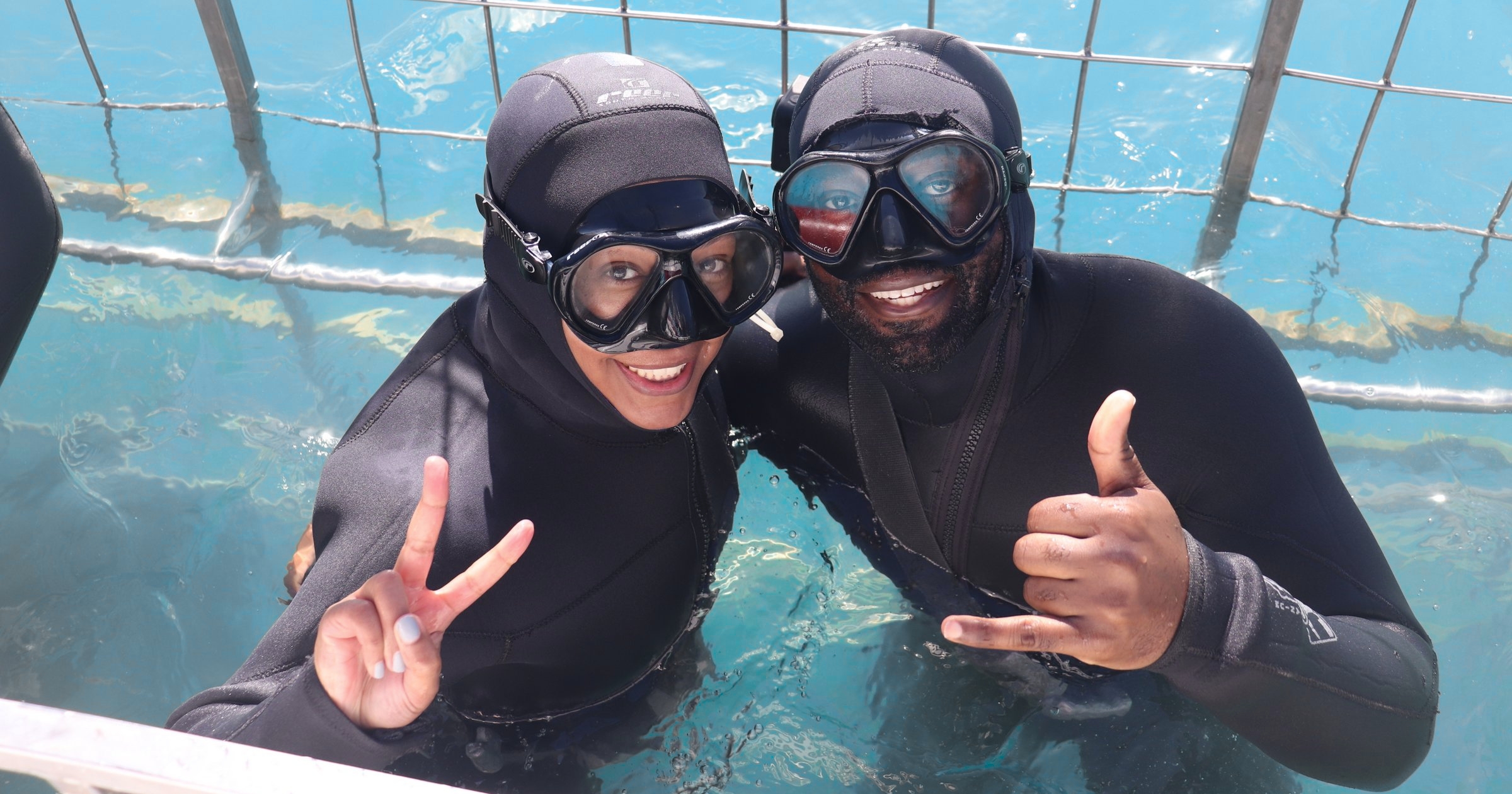 Swimming with seals
