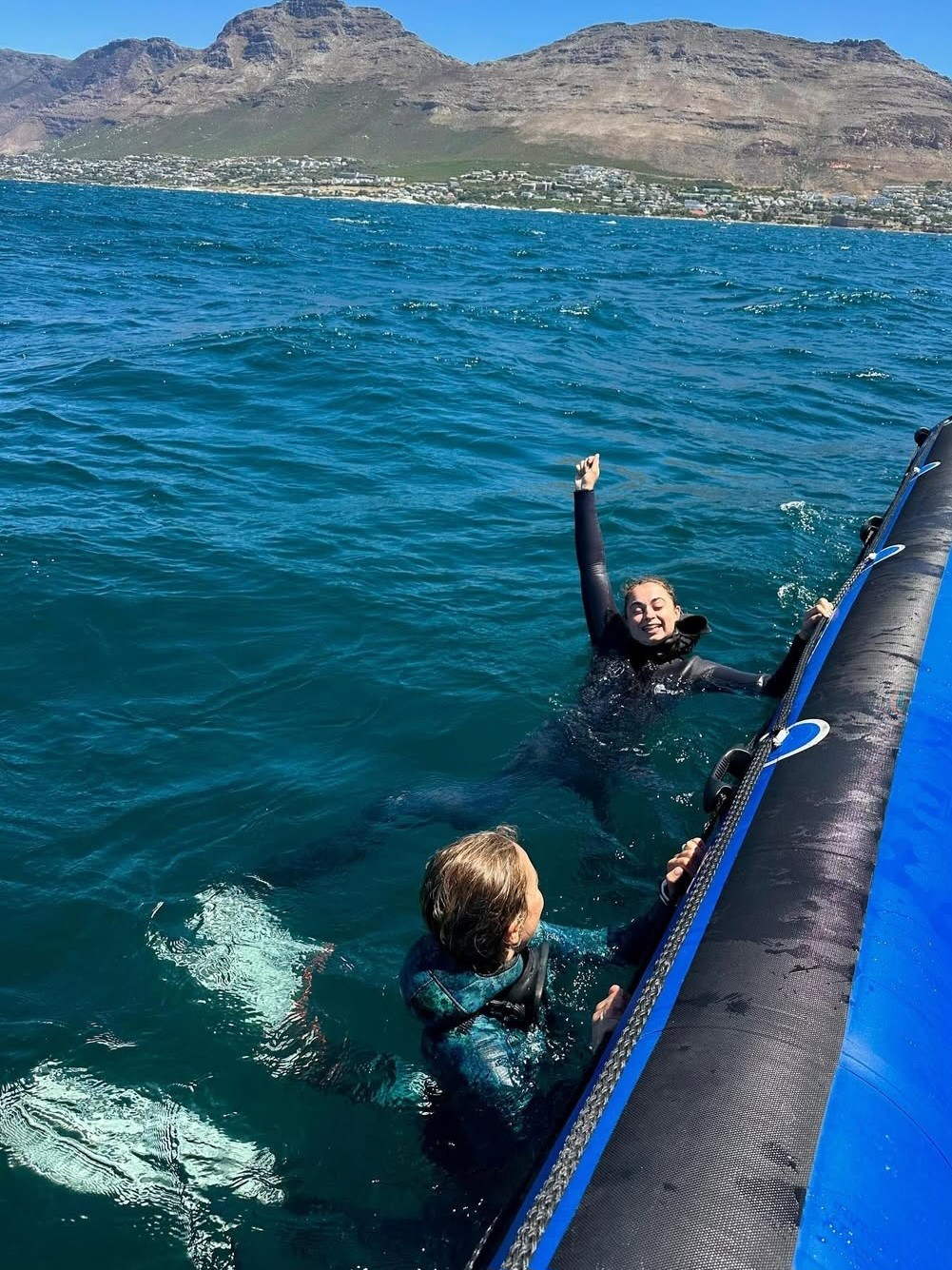 Diving experiences Cape Town