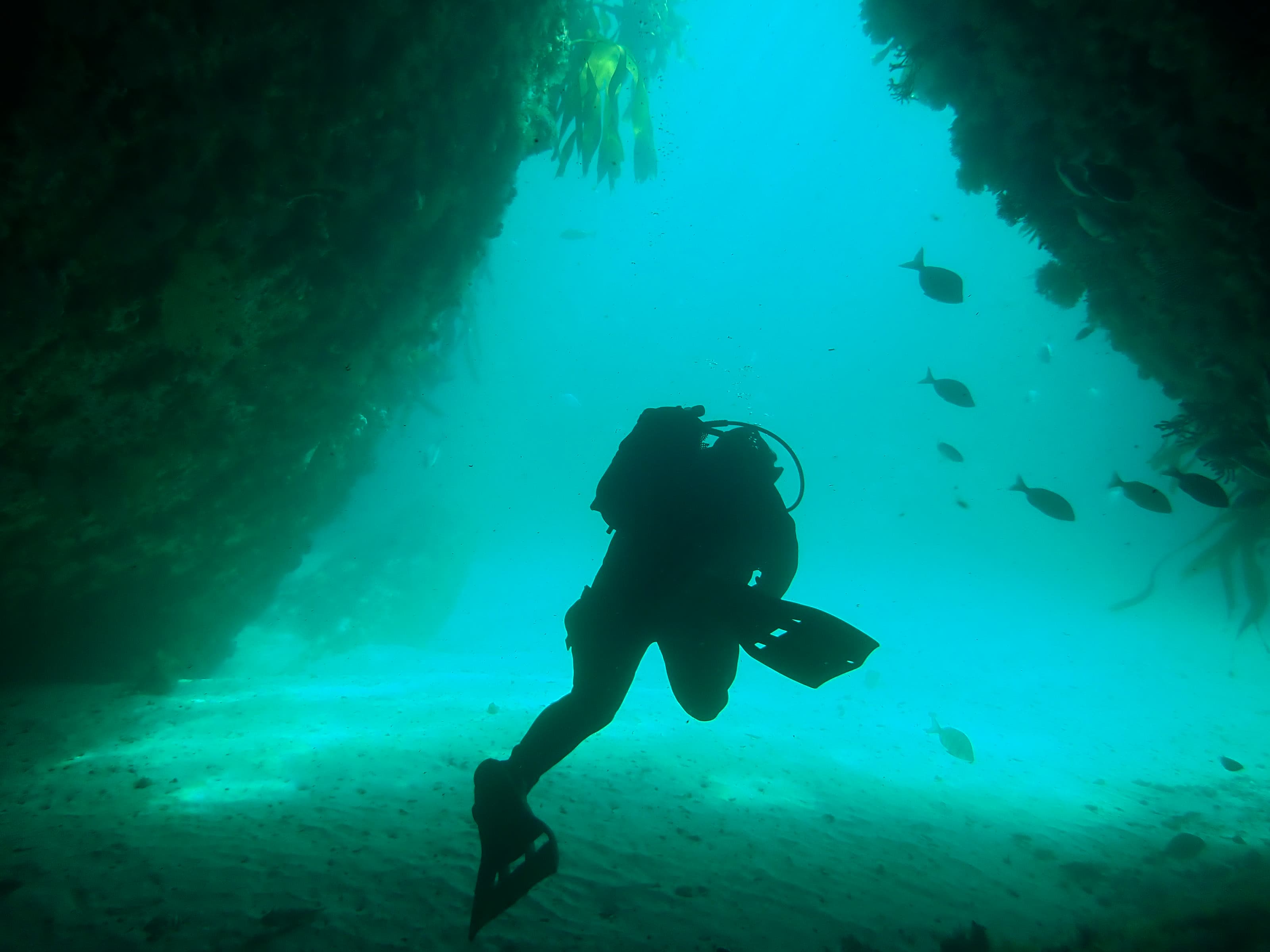 Scuba Refresher Course